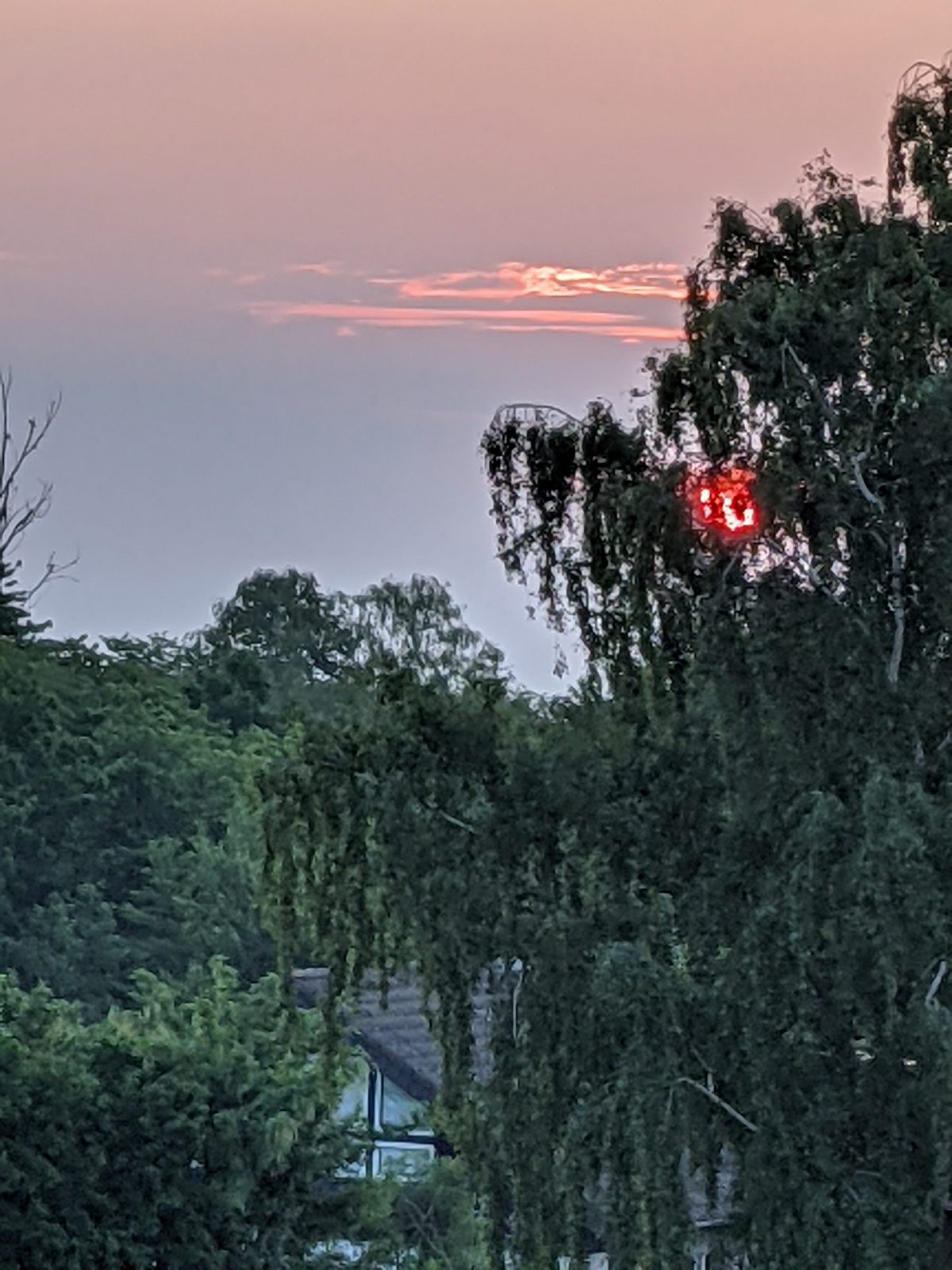 PXL_20210610_031647194