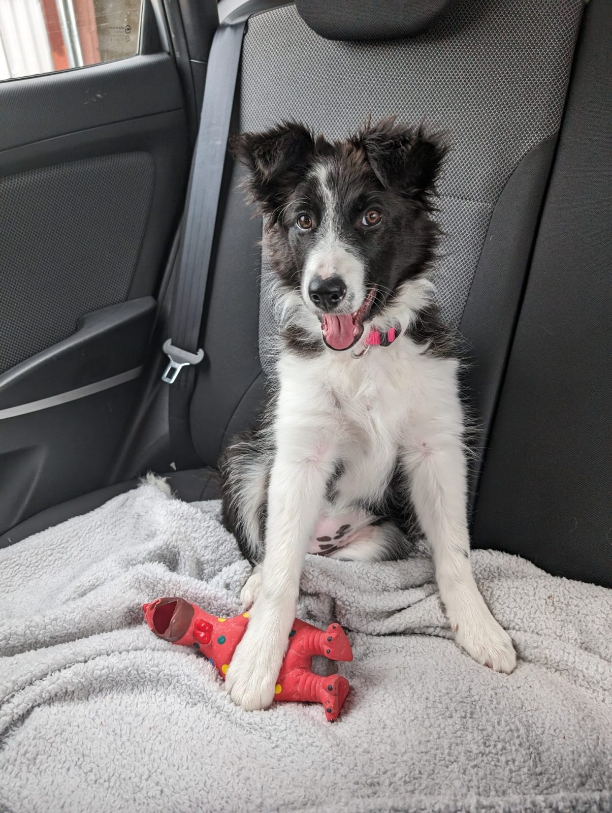 PXL_20240610_140142395