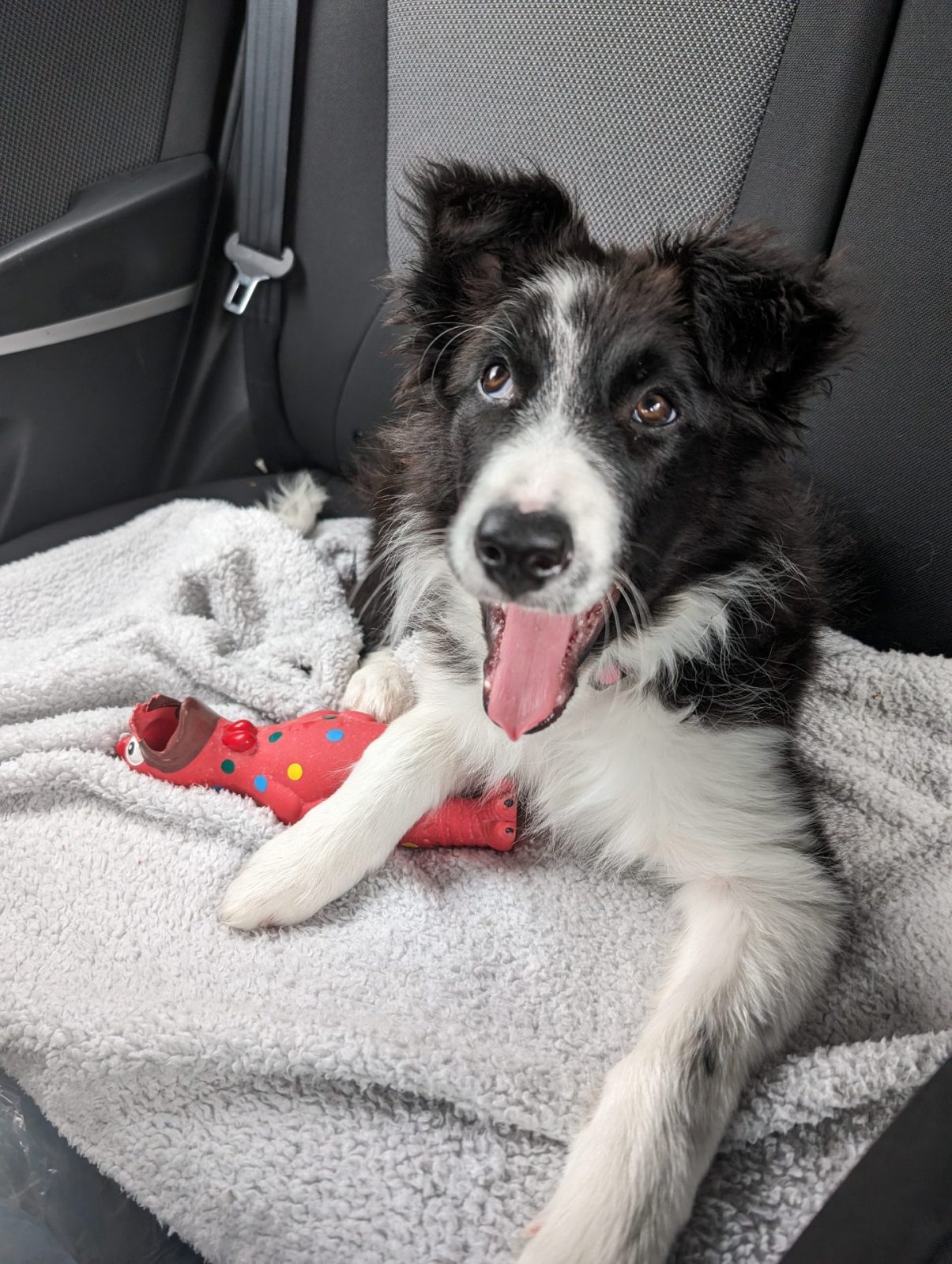 PXL_20240610_140202672