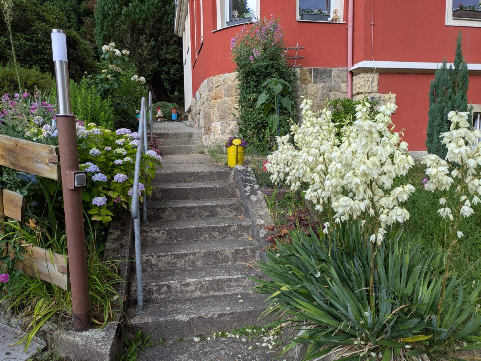 PXL_20250707_121916693