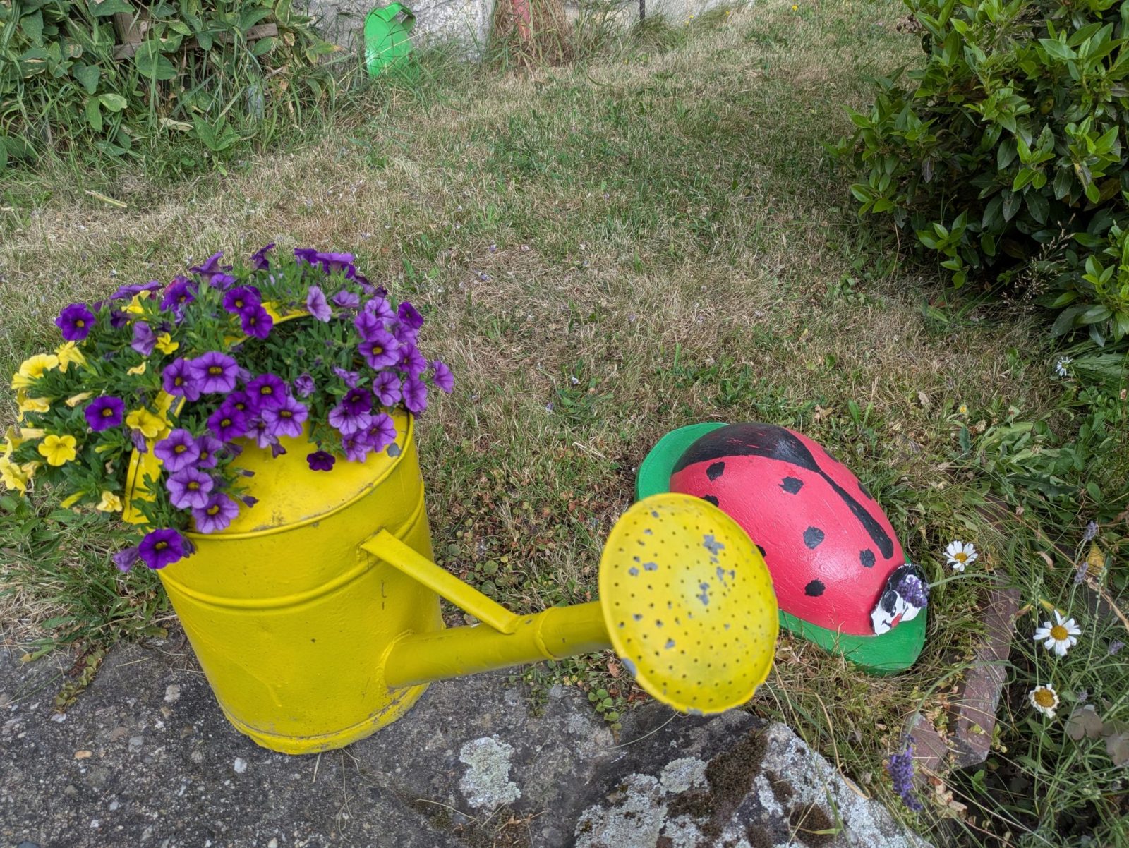 PXL_20250707_121951293