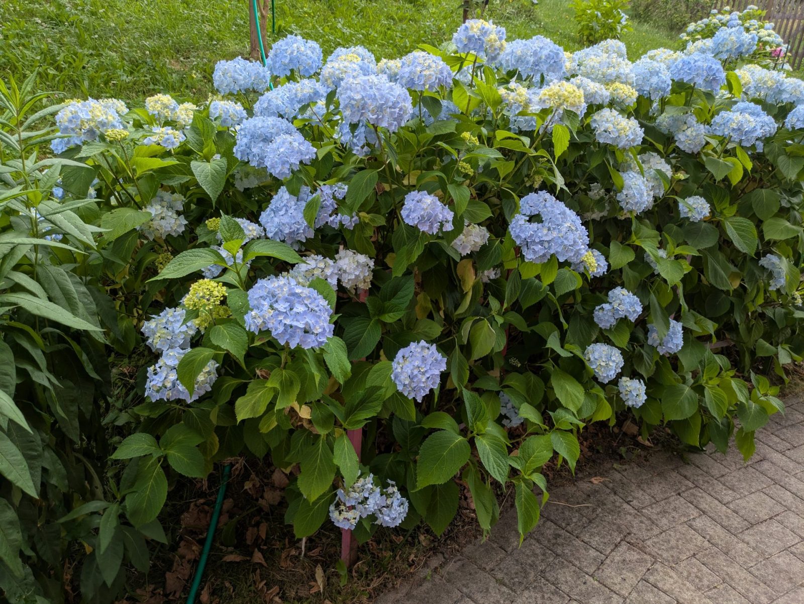 PXL_20250707_122123238