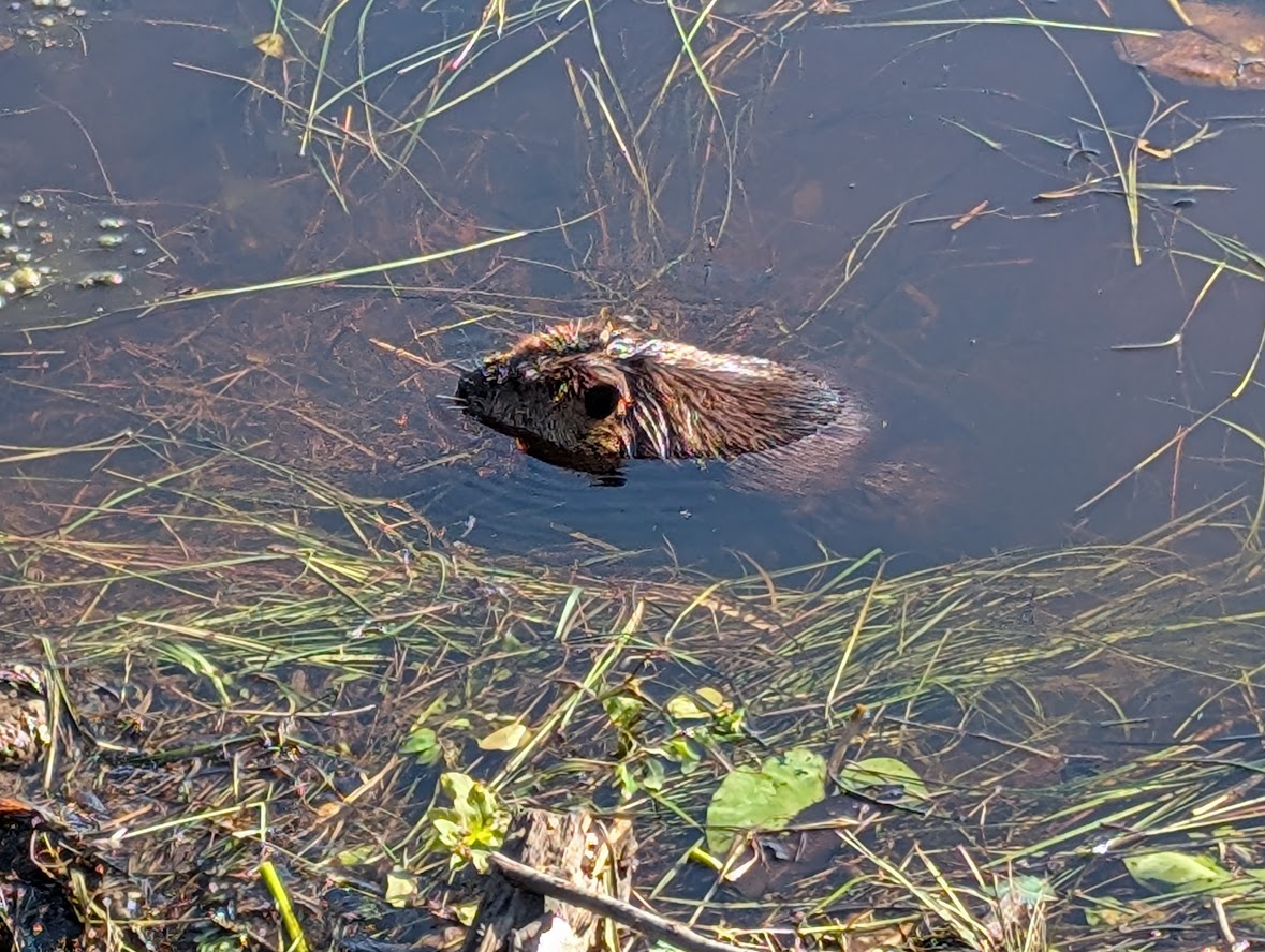 PXL_20250726_120342648