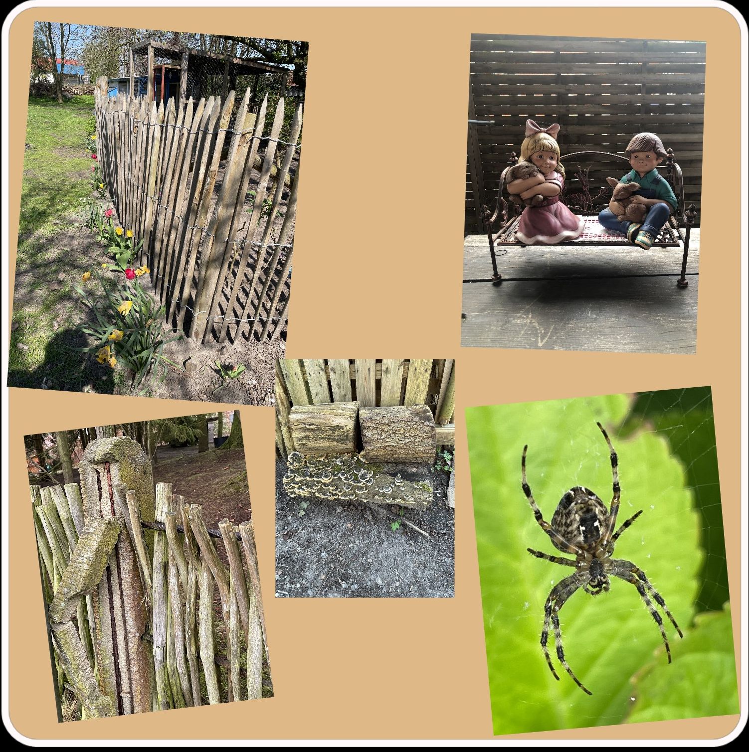 PhotoMixerPhotoCollage_042024-120931