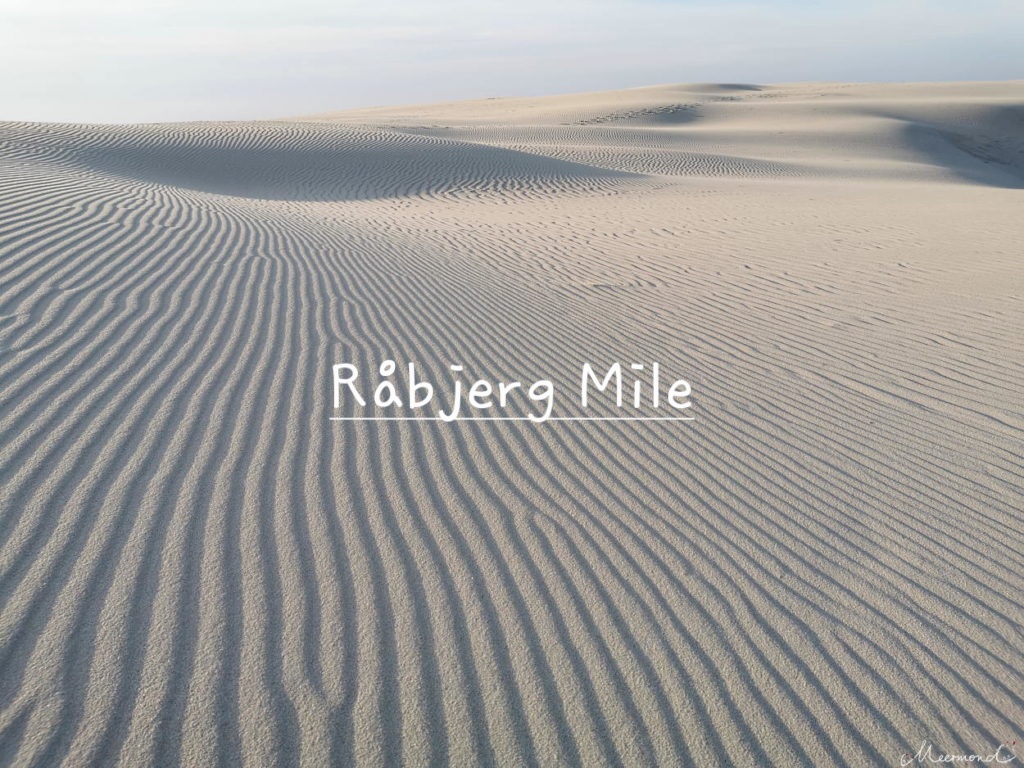 Råbjerg-Mile--1024x768