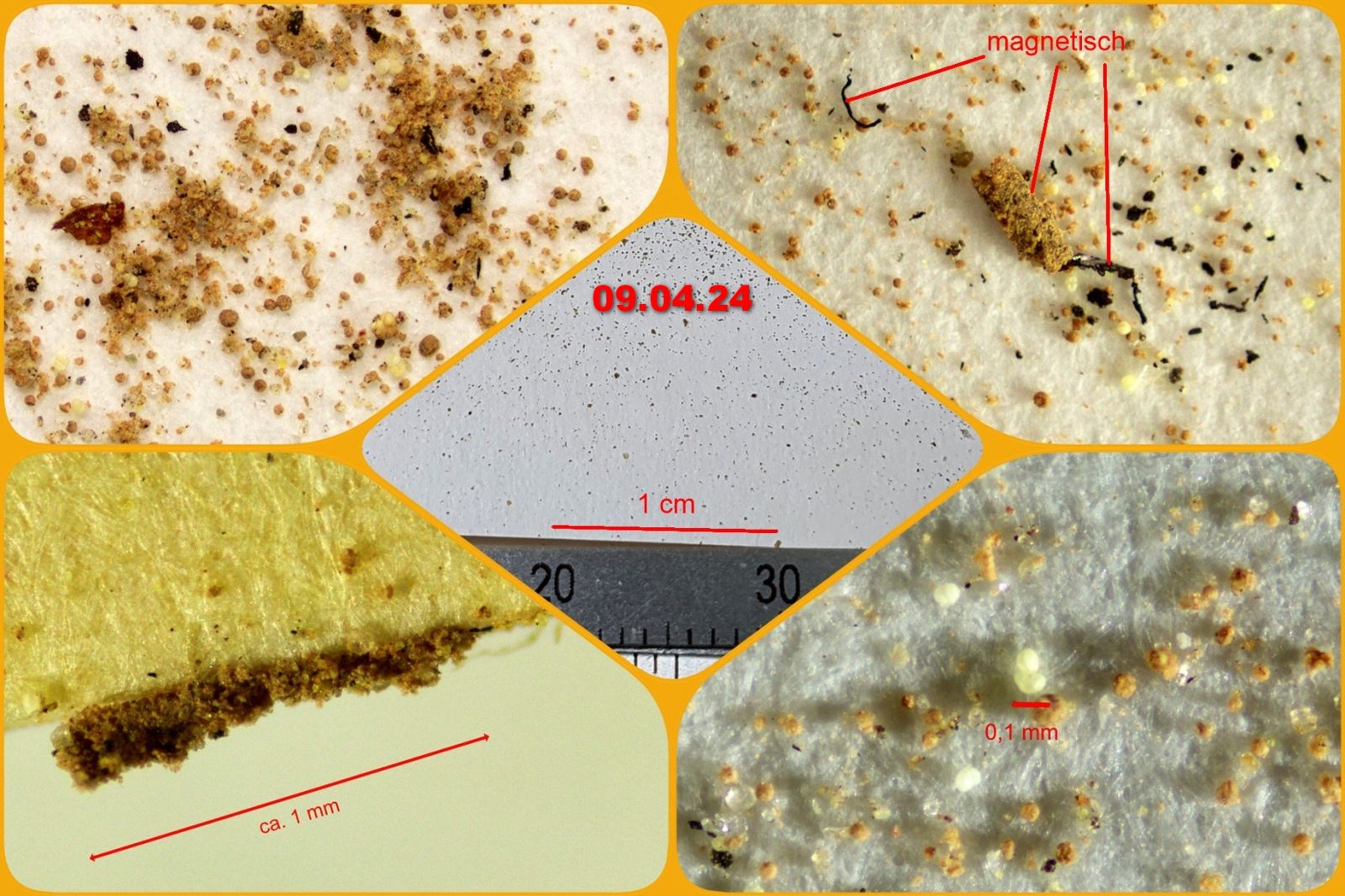 Sahara_0424-Collage_5 - Kopie