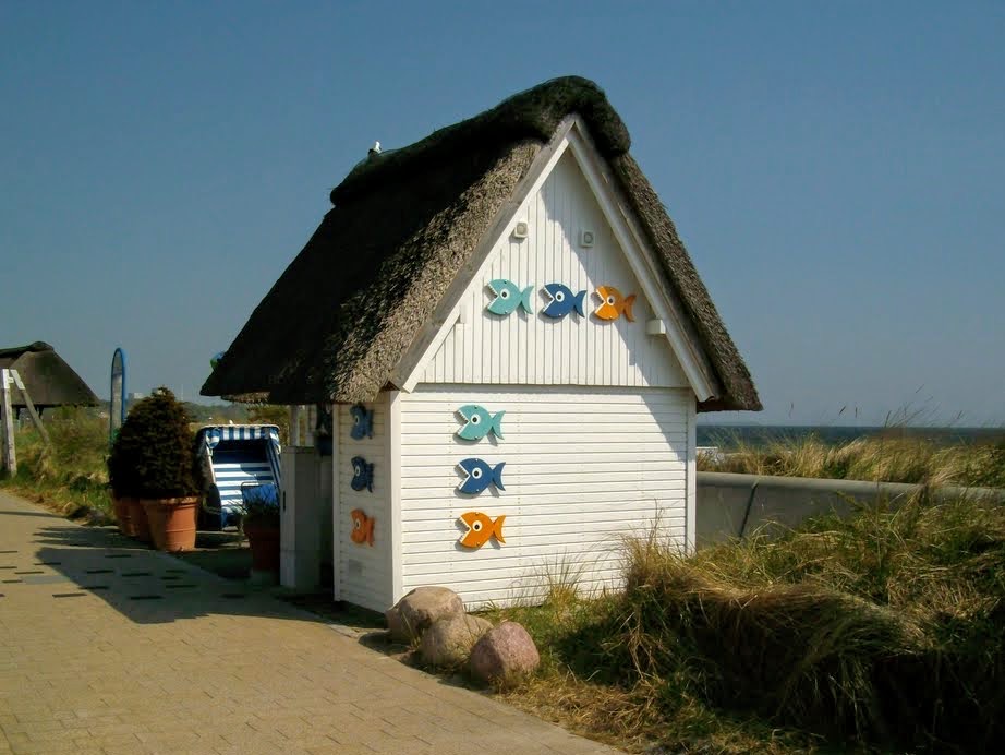 PENTACON DIGITAL CAMERA