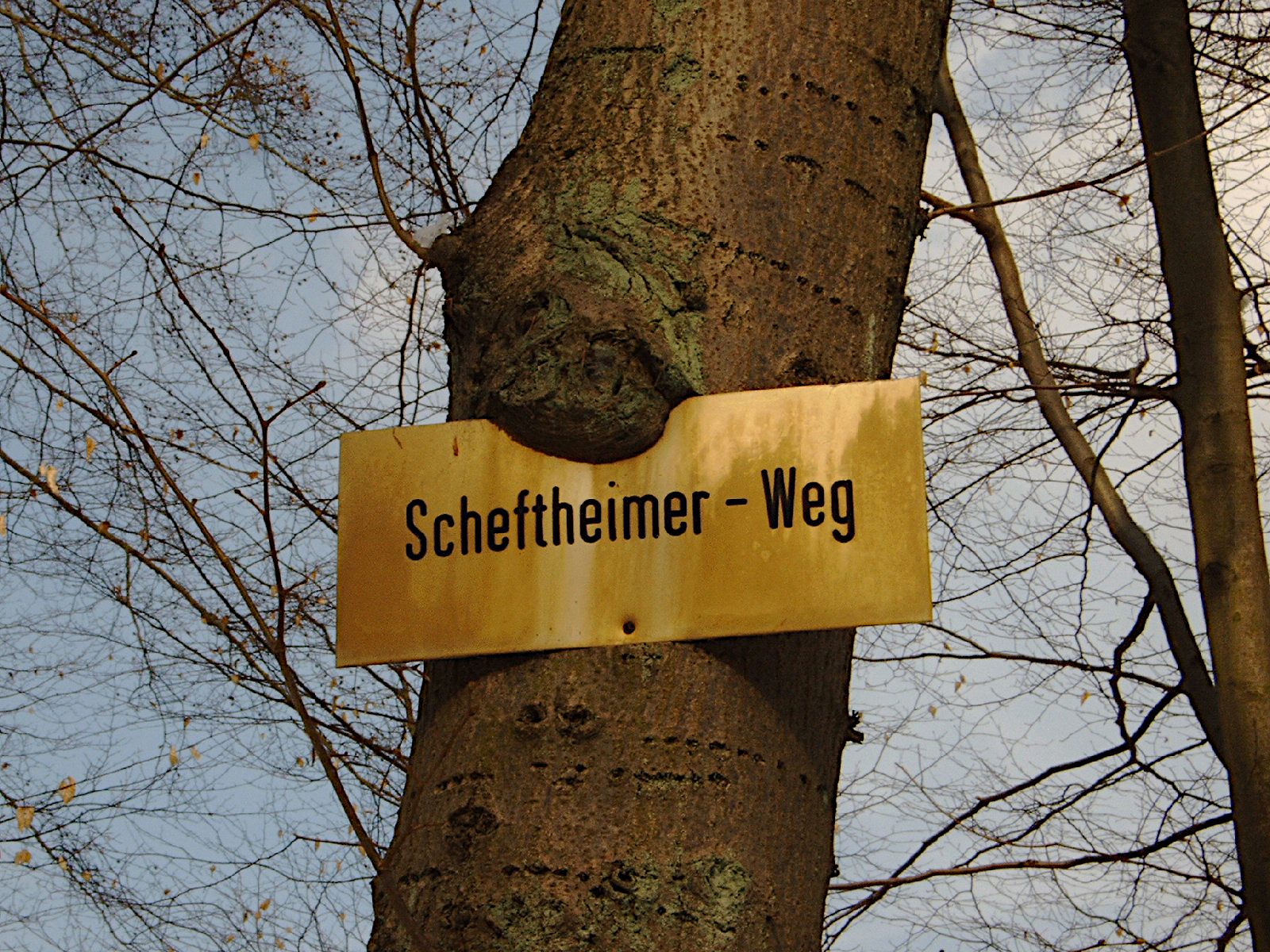 DC4300 Digital Camera