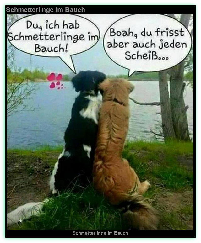 Schmetterlinge im Bauch