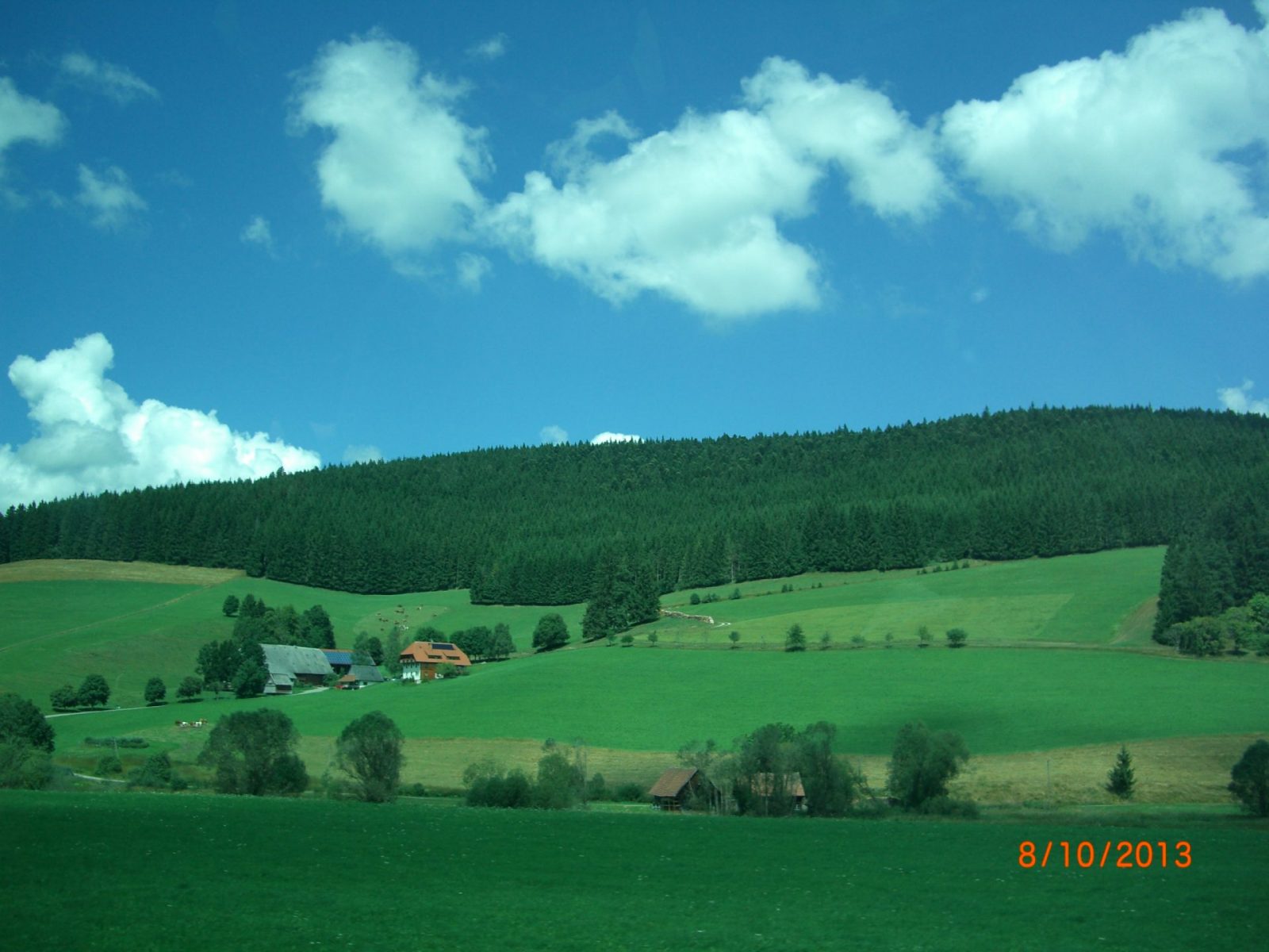 Schwarzwald 2013 041