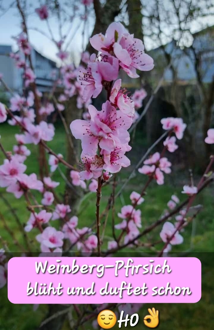 Screenshot_20220329-150854_WhatsApp