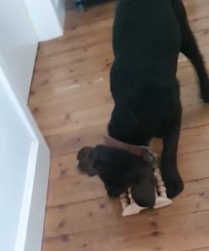 Screenshot_20220428-113211_WhatsApp