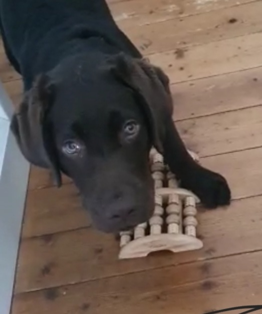 Screenshot_20220428-113241_WhatsApp