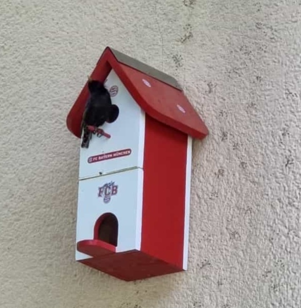 Screenshot_20220515-133547_WhatsApp