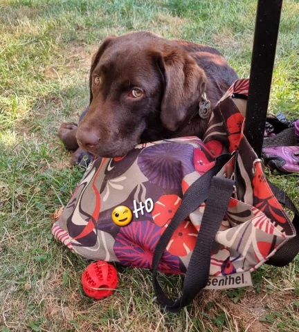 Screenshot_20220724-202539_WhatsApp