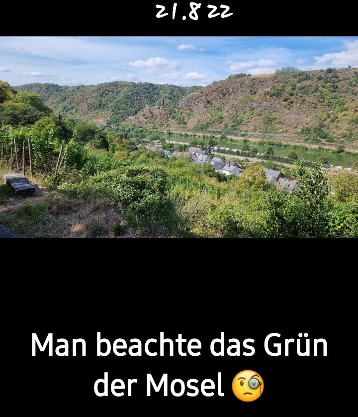 Screenshot_20220821-132552_WhatsApp