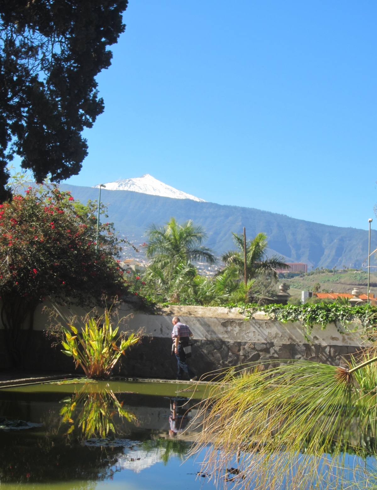 Screenshot_20220913-173630_Gallery