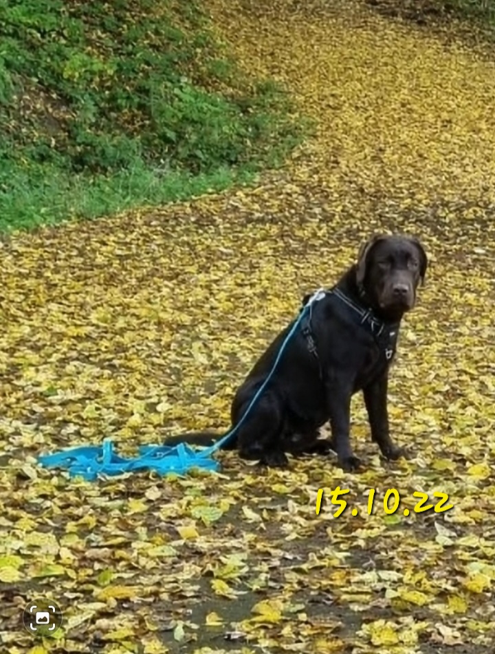 Screenshot_20221016-092522_Gallery