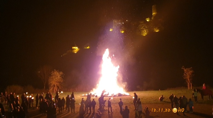 Screenshot_20221113-105428_Gallery