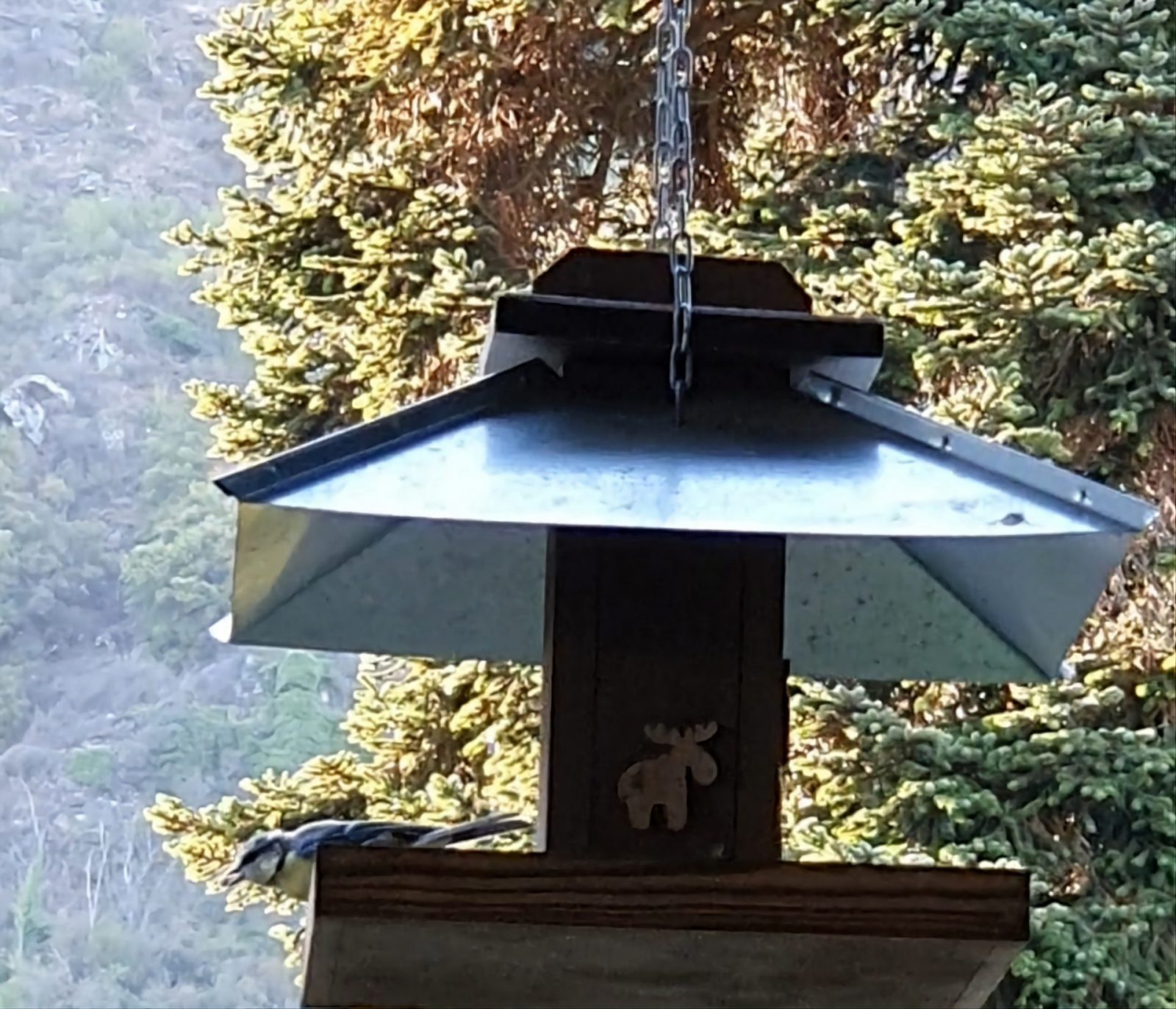 Screenshot_20230106_115146_Gallery