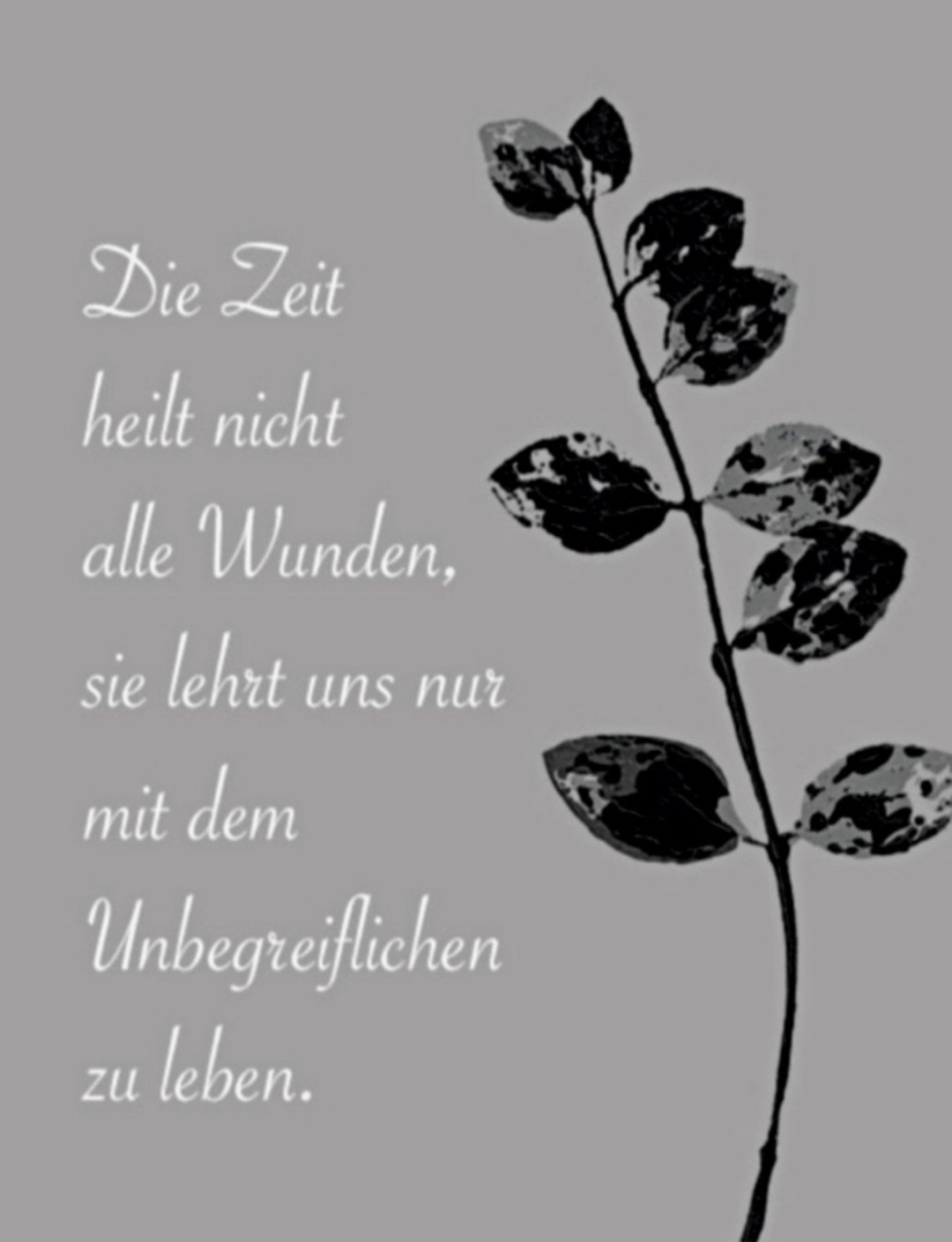 Screenshot_20230306_140929_WhatsApp