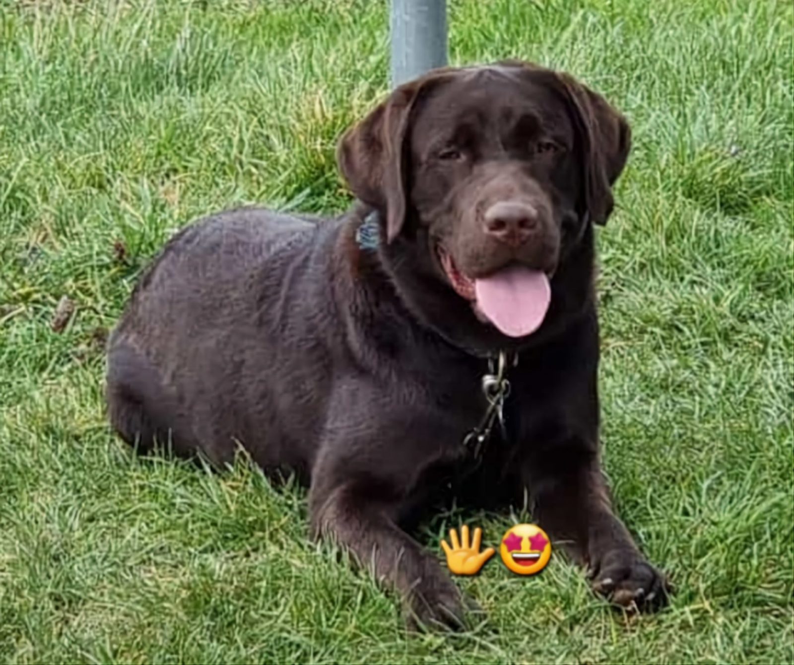 Screenshot_20230319_093500_WhatsApp