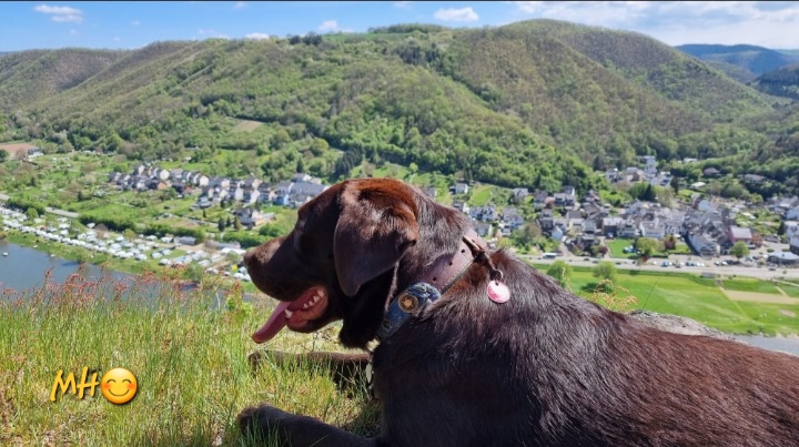 Screenshot_20230501_120100_WhatsApp