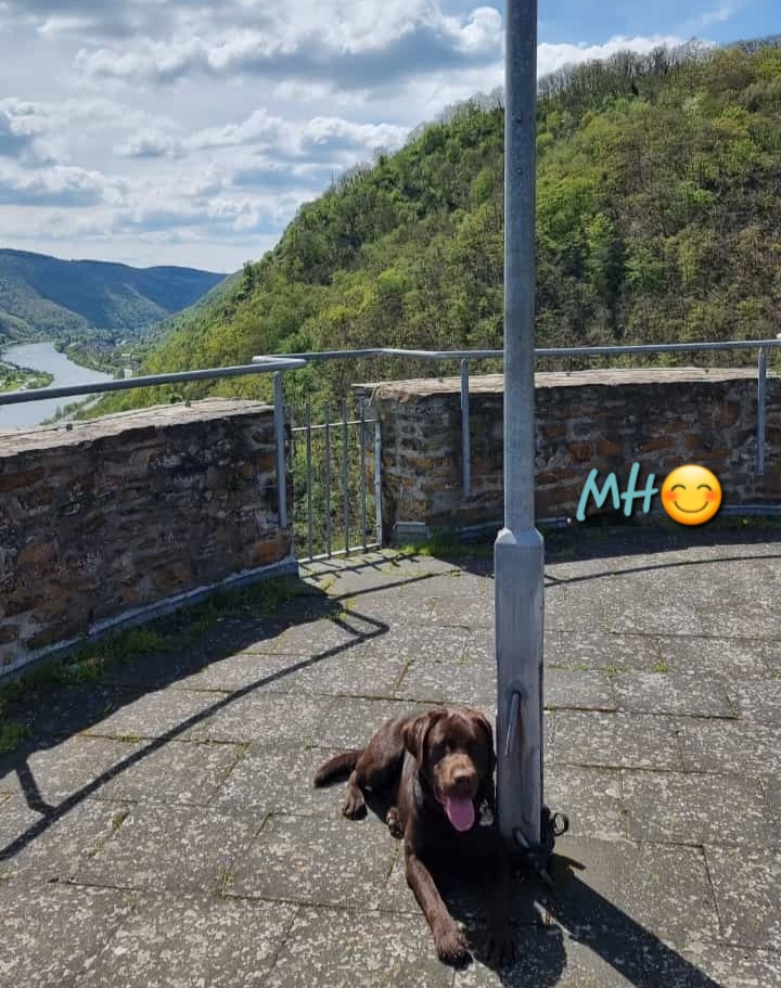 Screenshot_20230501_120141_WhatsApp