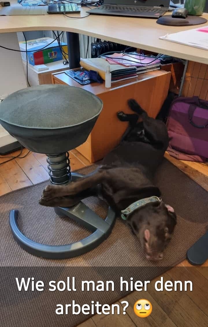 Screenshot_20230606_170631_Gallery