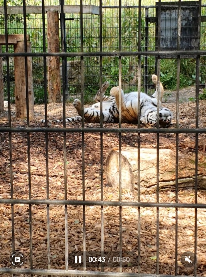 Screenshot_20230711_123742_Gallery