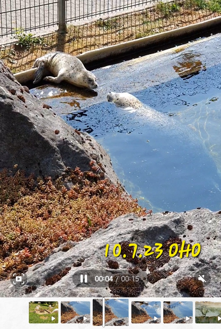 Screenshot_20230711_135343_Gallery