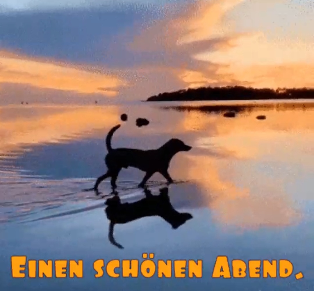 Screenshot_20230828_215700_Gallery