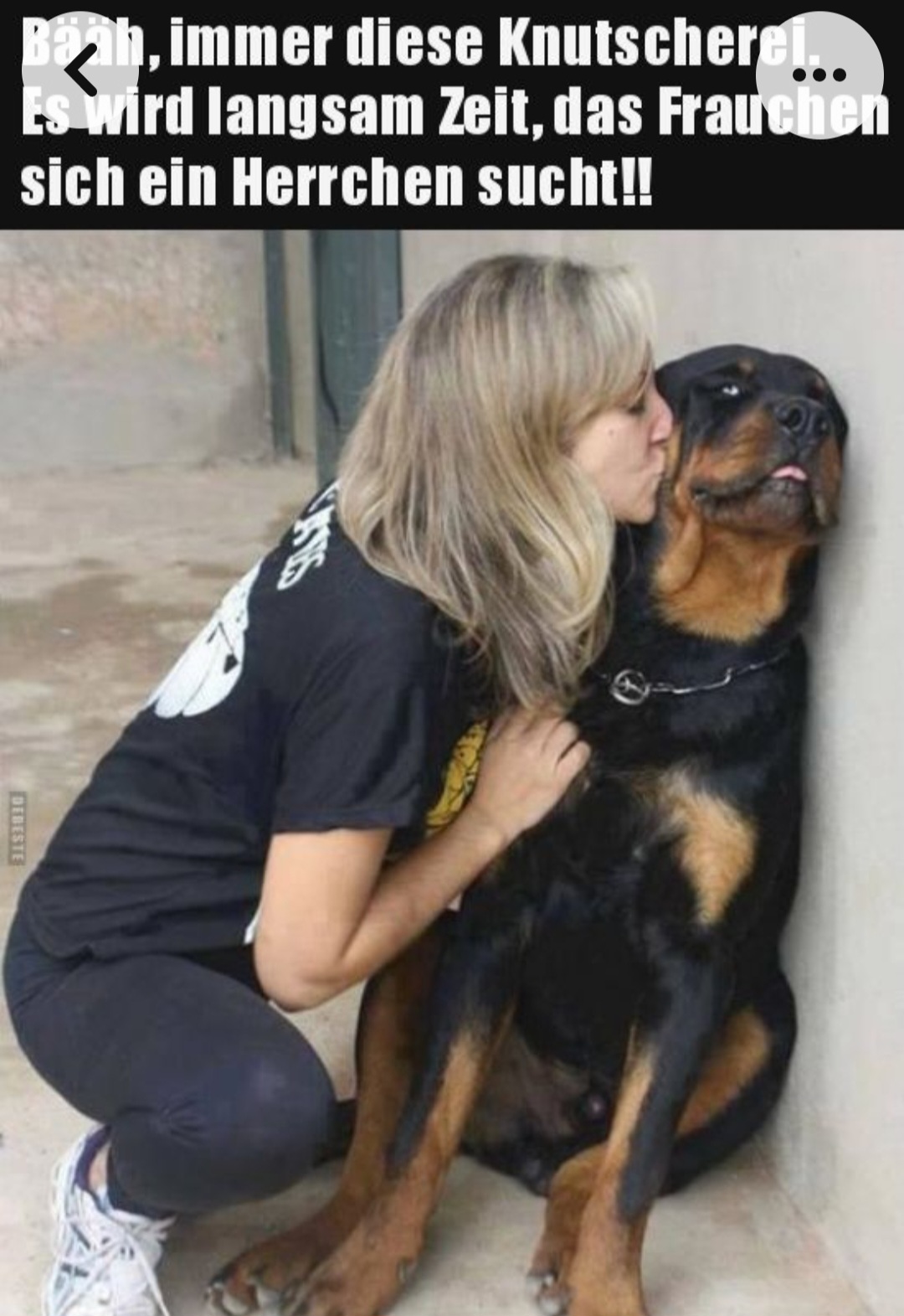 Screenshot_20230906_143031_Samsung Internet