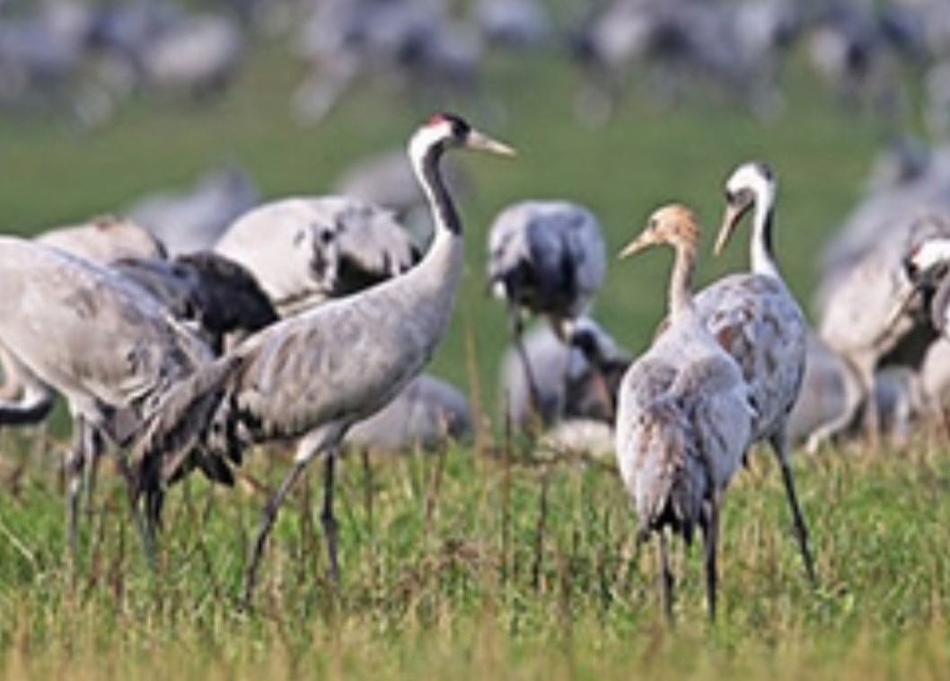 Screenshot_20231020_070801_Samsung Internet