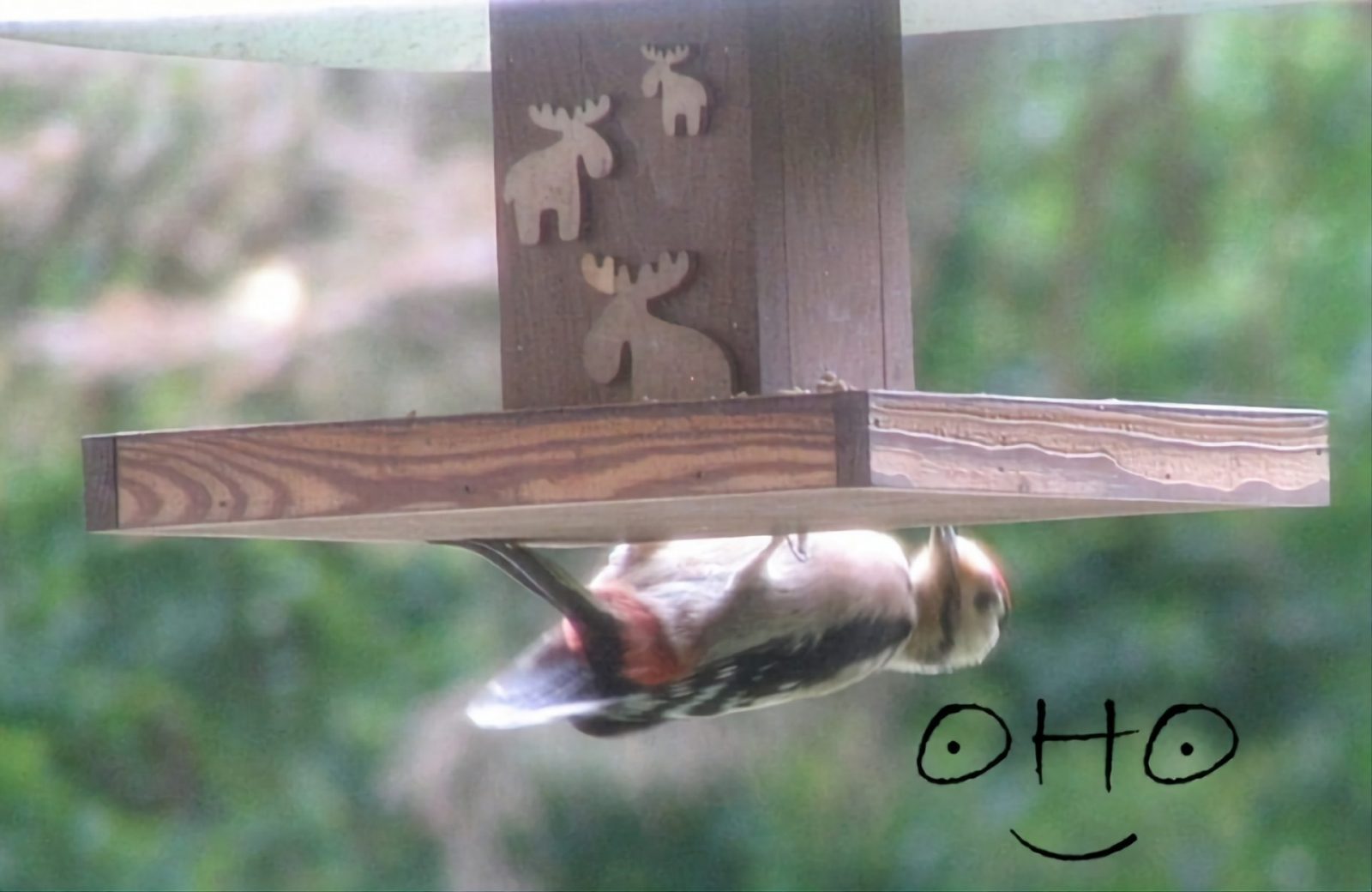 Screenshot_20231112_114052_Samsung Internet