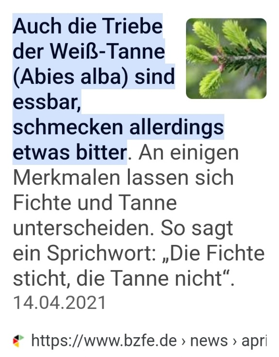 Screenshot_20240304_164410_Samsung Internet