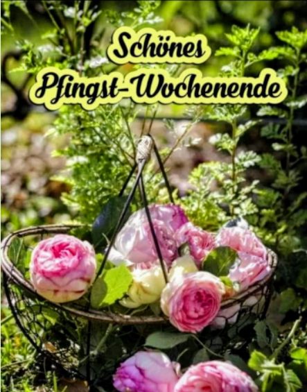 Screenshot_20240519-115228