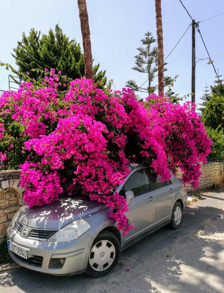 Screenshot_20240612-083800