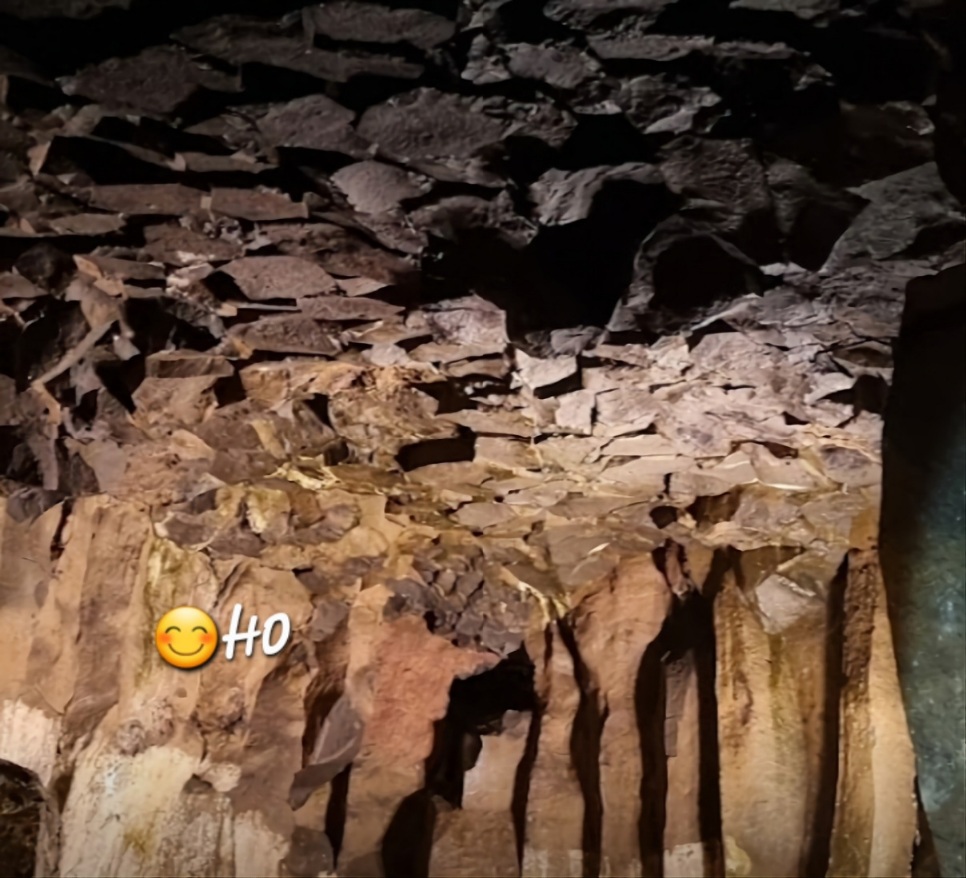 Screenshot_20240615_101233_Samsung Internet