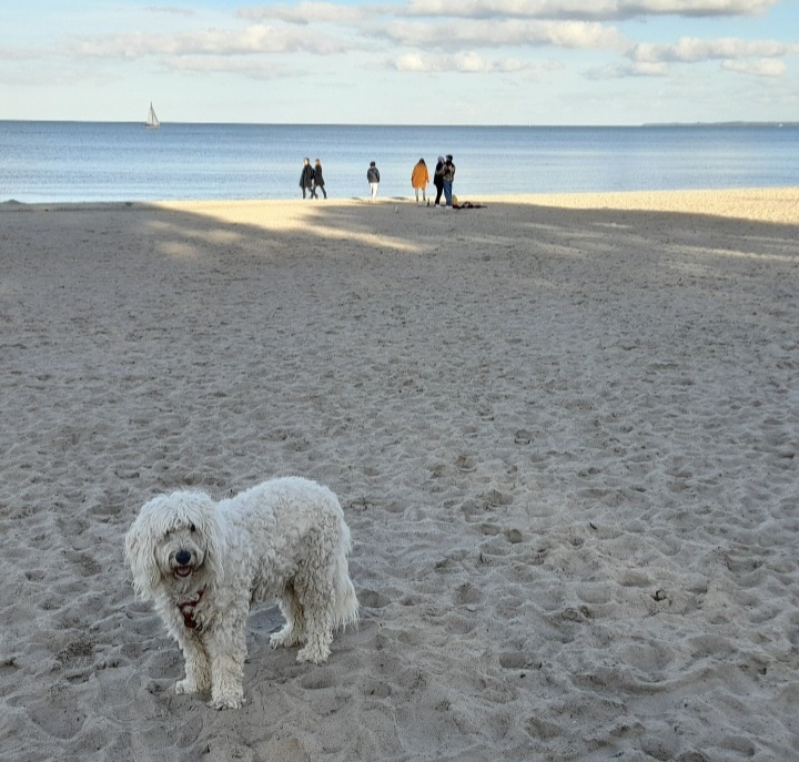 Screenshot_20240620_220303_Gallery