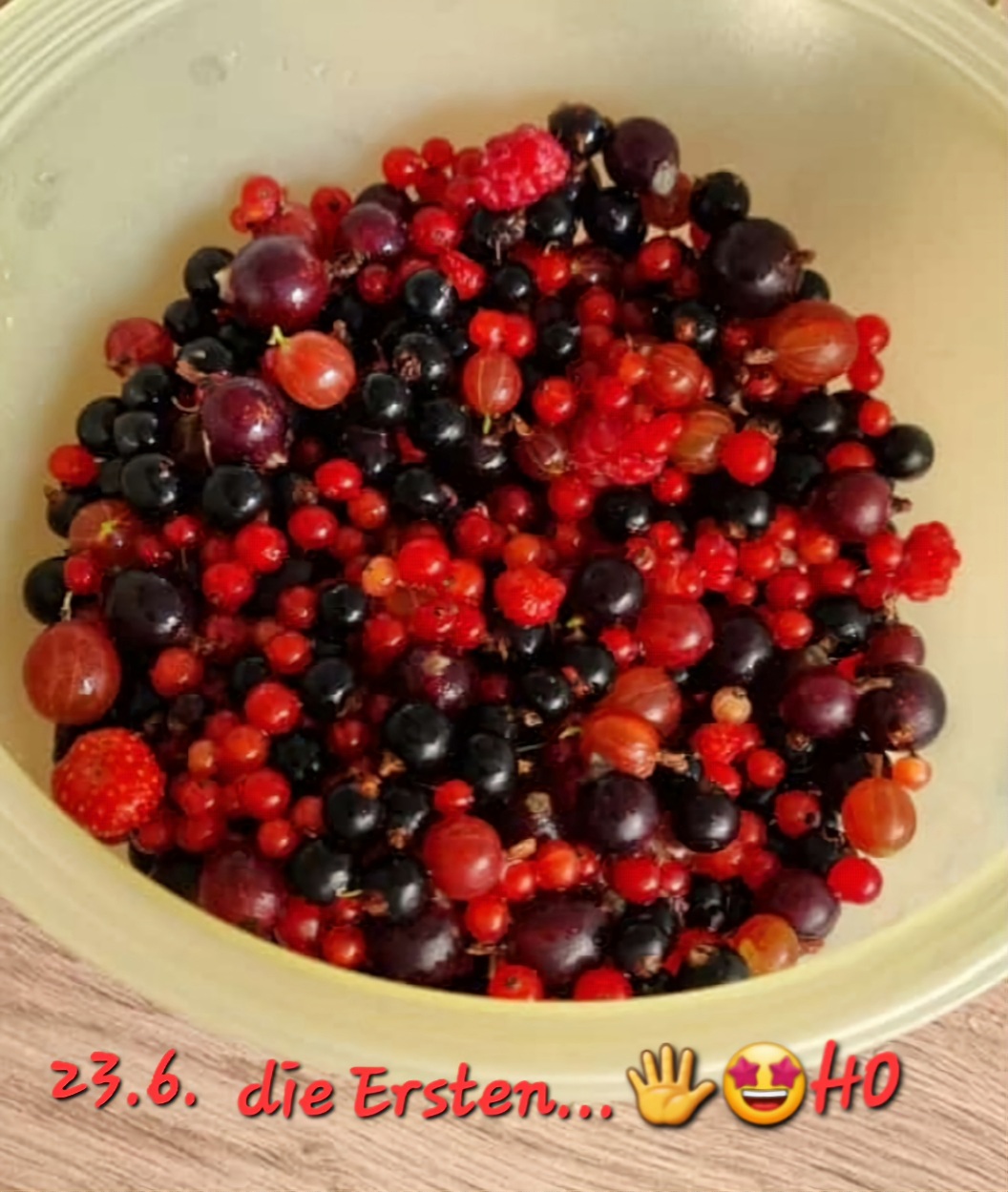 Screenshot_20240624_121519_WhatsApp