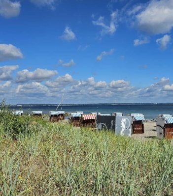 Screenshot_20240707_140327_WhatsApp