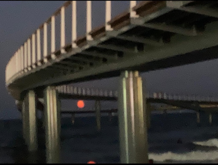 Screenshot_20240921_100846_WhatsApp