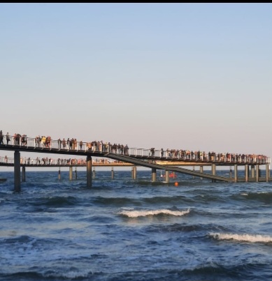 Screenshot_20240921_100900_WhatsApp