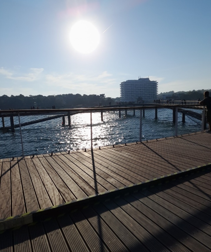 Screenshot_20240926_141111_Photos