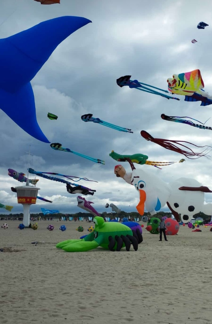 Screenshot_20241003_201024_Gallery