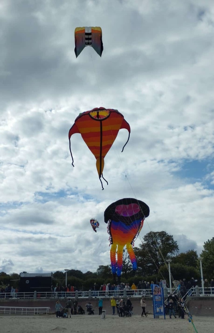 Screenshot_20241003_201111_Gallery