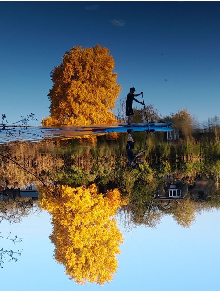 Screenshot_20241027_193133_Gallery