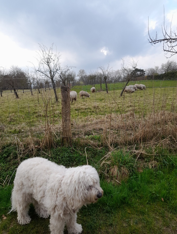 Screenshot_20241101_221503_Gallery