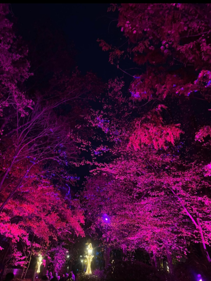 Screenshot_20241103_214805_WhatsApp